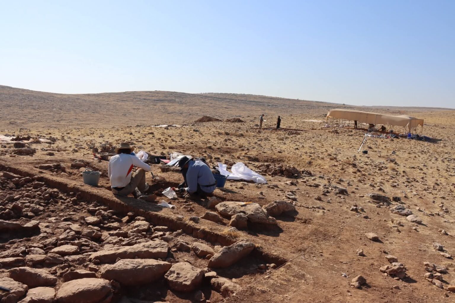 Untitled, image size:1536x1023